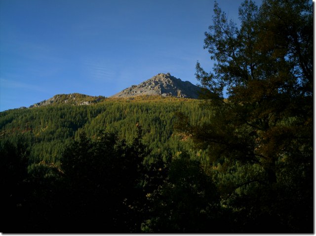 L'automne dans les mlzes
