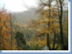 photo d'automne