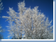Neige et ciel bleu